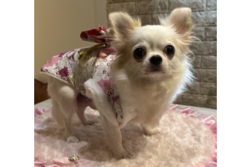 ゆきみちゃん1枚目